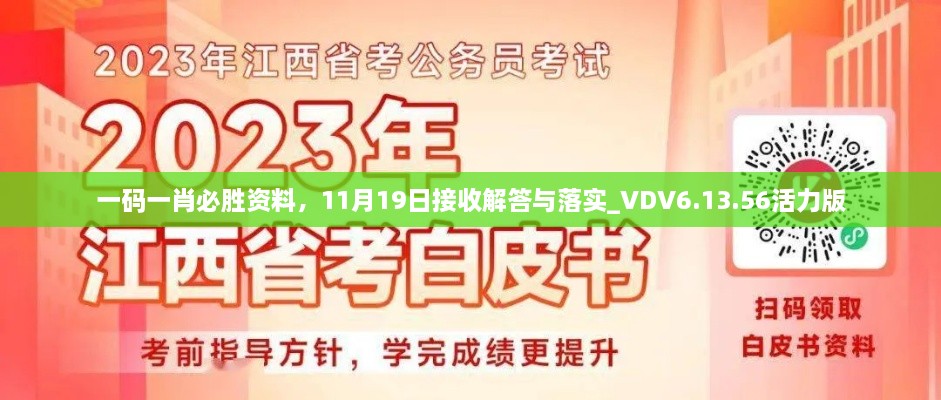 一码一肖必胜资料，11月19日接收解答与落实_VDV6.13.56活力版