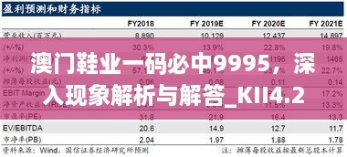 澳门鞋业一码必中9995，深入现象解析与解答_KII4.23.86先锋科技