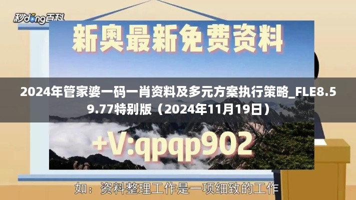 2024年管家婆一码一肖资料及多元方案执行策略_FLE8.59.77特别版（2024年11月19日）