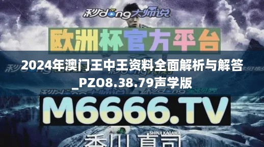 2024年澳门王中王资料全面解析与解答_PZO8.38.79声学版