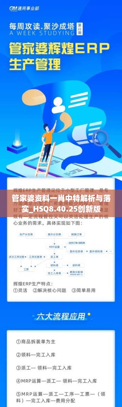 管家婆资料一肖中特解析与落实_HSQ8.40.25创新版