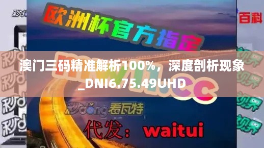 澳门三码精准解析100%，深度剖析现象_DNI6.75.49UHD