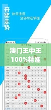 澳门王中王100%精准资料与稳定计划深度解析_VED9.41.33网红版