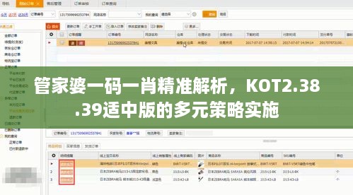 管家婆一码一肖精准解析，KOT2.38.39适中版的多元策略实施