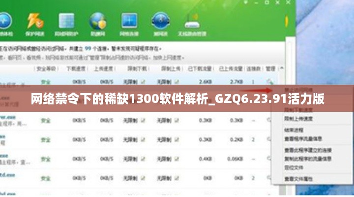 网络禁令下的稀缺1300软件解析_GZQ6.23.91活力版