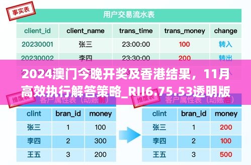 2024澳门今晚开奖及香港结果，11月高效执行解答策略_RII6.75.53透明版