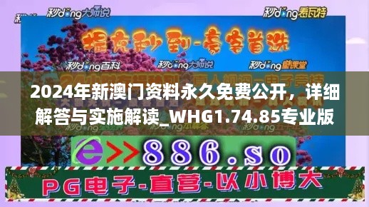 2024年新澳门资料永久免费公开，详细解答与实施解读_WHG1.74.85专业版