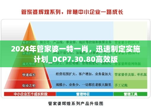 2024年管家婆一特一肖，迅速制定实施计划_DCP7.30.80高效版