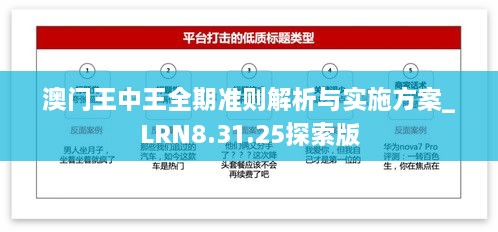 澳门王中王全期准则解析与实施方案_LRN8.31.25探索版