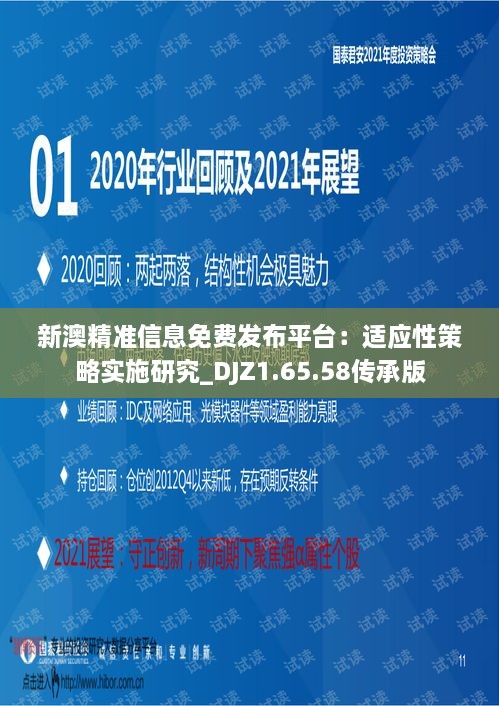 新澳精准信息免费发布平台：适应性策略实施研究_DJZ1.65.58传承版