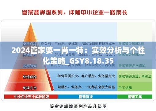 2024管家婆一肖一特：实效分析与个性化策略_GSY8.18.35