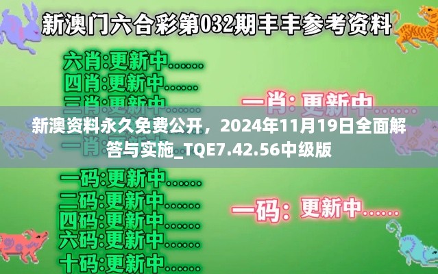 新澳资料永久免费公开，2024年11月19日全面解答与实施_TQE7.42.56中级版