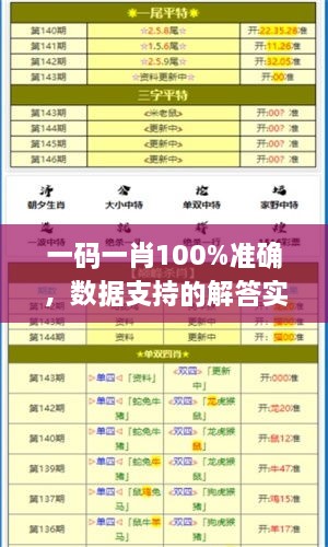 一码一肖100%准确，数据支持的解答实施_NCG6.75.82中级版