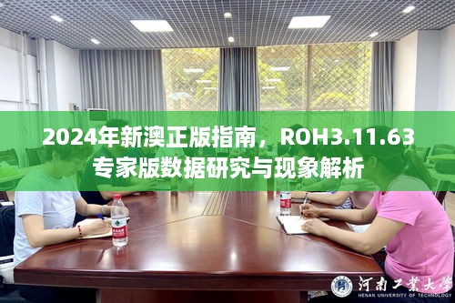 2024年新澳正版指南，ROH3.11.63专家版数据研究与现象解析