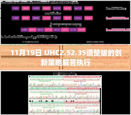 bizoulongyi 第5页