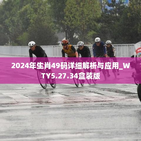 2024年生肖49码详细解析与应用_WTY5.27.34盒装版