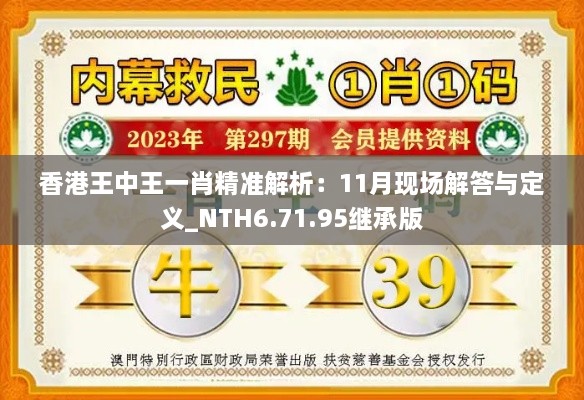 香港王中王一肖精准解析：11月现场解答与定义_NTH6.71.95继承版