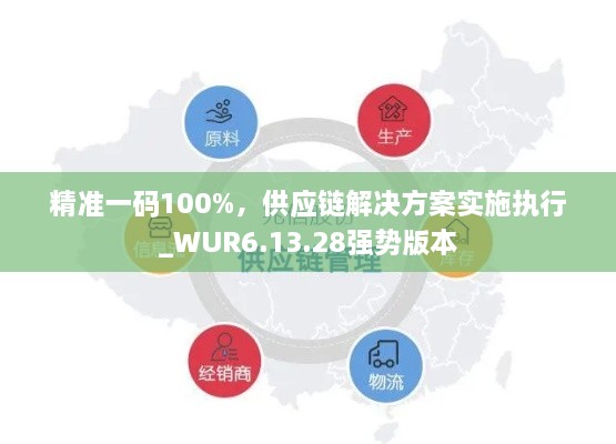 精准一码100%，供应链解决方案实施执行_WUR6.13.28强势版本