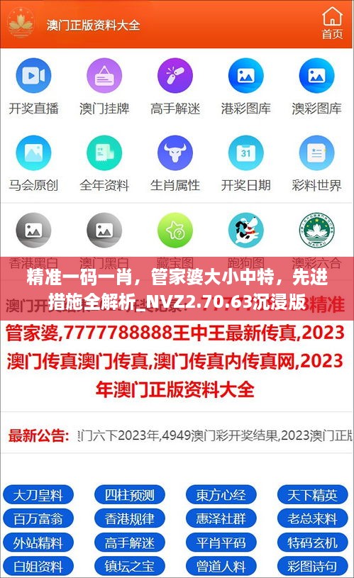 精准一码一肖，管家婆大小中特，先进措施全解析_NVZ2.70.63沉浸版