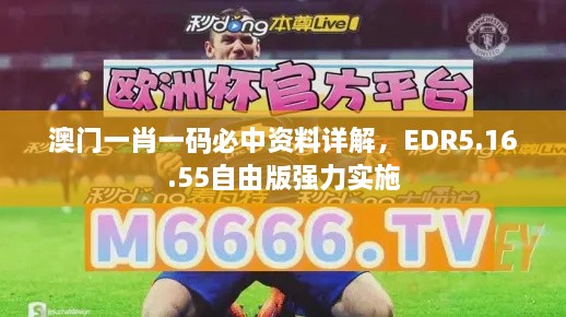 澳门一肖一码必中资料详解，EDR5.16.55自由版强力实施