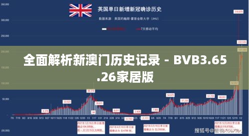 全面解析新澳门历史记录 - BVB3.65.26家居版