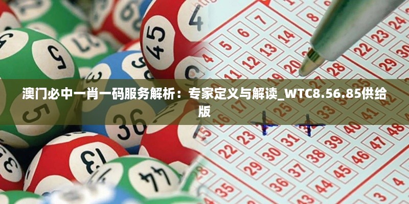 澳门必中一肖一码服务解析：专家定义与解读_WTC8.56.85供给版