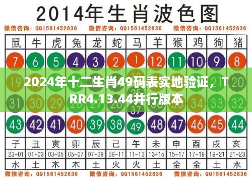 2024年十二生肖49码表实地验证，TRR4.13.44并行版本