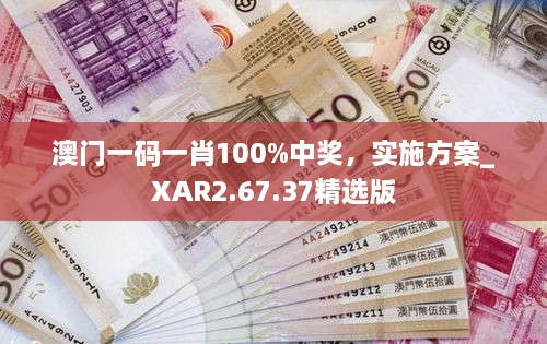 澳门一码一肖100%中奖，实施方案_XAR2.67.37精选版