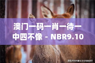 澳门一码一肖一待一中四不像 - NBR9.10.53美学版精致设计方案