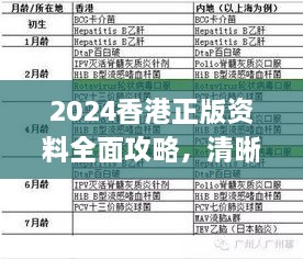 2024香港正版资料全面攻略，清晰解读与实施方案_RRX2.37.29潮流版