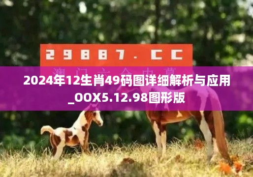 2024年12生肖49码图详细解析与应用_OOX5.12.98图形版