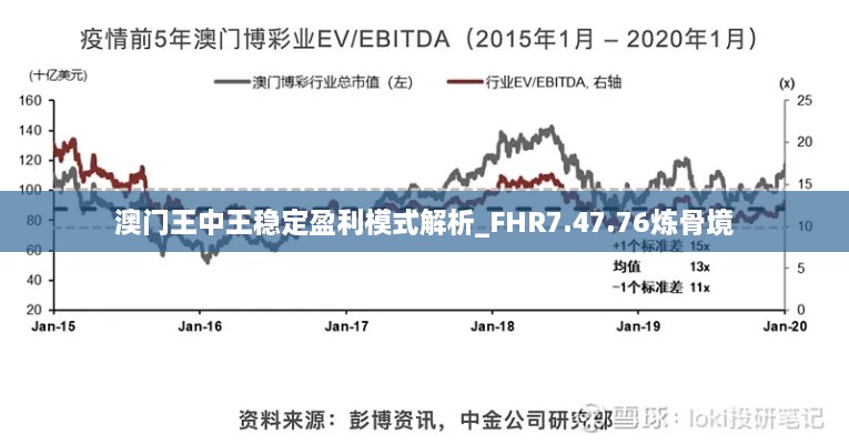 澳门王中王稳定盈利模式解析_FHR7.47.76炼骨境