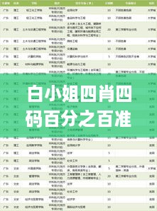 白小姐四肖四码百分之百准确，全新策略计划_PUZ1.45.35版本