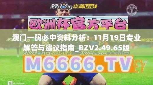 澳门一码必中资料分析：11月19日专业解答与建议指南_BZV2.49.65版