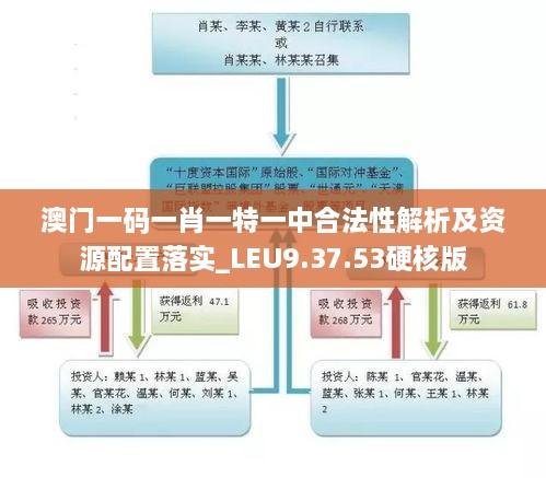 澳门一码一肖一特一中合法性解析及资源配置落实_LEU9.37.53硬核版