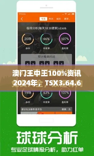 澳门王中王100%资讯2024年，TSX3.64.61全球版无线分体式解答