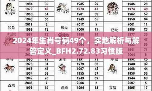 2024年生肖号码49个，实地解析与解答定义_BFH2.72.83习惯版