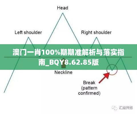 澳门一肖100%期期准解析与落实指南_BQY8.62.85版