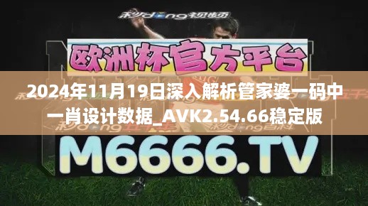 2024年11月19日深入解析管家婆一码中一肖设计数据_AVK2.54.66稳定版