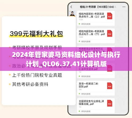 2024年管家婆马资料细化设计与执行计划_QLO6.37.41计算机版