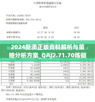 2024新澳正版资料解析与策略分析方案_QAJ2.71.70炼髓境