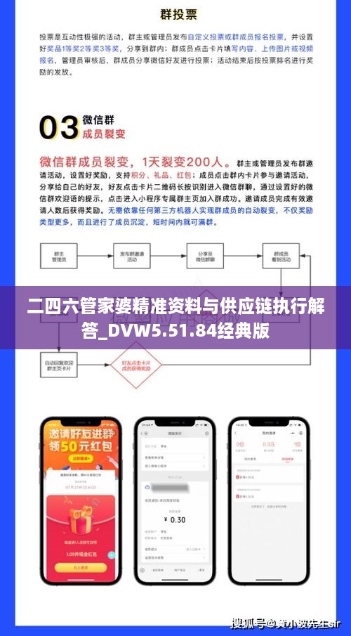 二四六管家婆精准资料与供应链执行解答_DVW5.51.84经典版