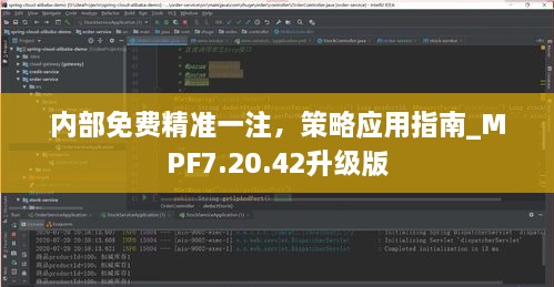 内部免费精准一注，策略应用指南_MPF7.20.42升级版