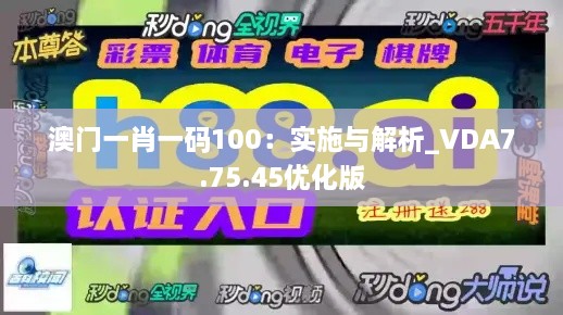 澳门一肖一码100：实施与解析_VDA7.75.45优化版