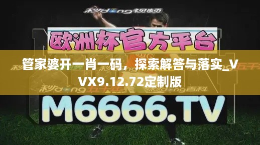 管家婆开一肖一码，探索解答与落实_VVX9.12.72定制版