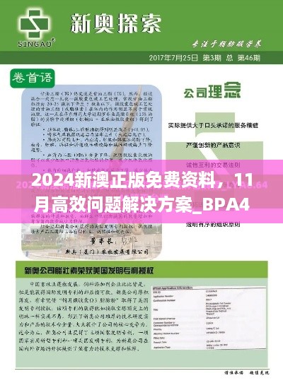 2024新澳正版免费资料，11月高效问题解决方案_BPA4.51.56银版