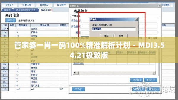 管家婆一肖一码100%精准解析计划 - MDI3.54.21极致版