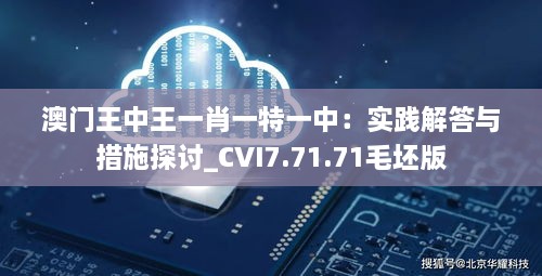 澳门王中王一肖一特一中：实践解答与措施探讨_CVI7.71.71毛坯版