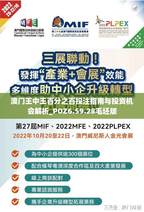 澳门王中王百分之百投注指南与投资机会解析_POZ6.59.28毛坯版