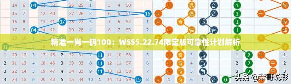 精准一肖一码100：WSS5.22.74限定版可靠性计划解析